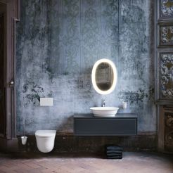Counter top bowl with drawer element, wall hung WC and illuminated oval mirror.